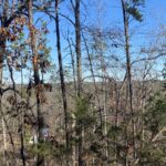 Property photo for land for sale in Fulton County Arkansas