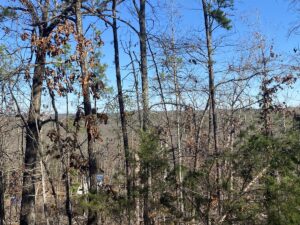 Property photo for land for sale in Fulton County Arkansas