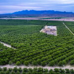 Property photo for land for sale in Dona Ana County New Mexico