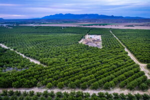 Property photo for land for sale in Dona Ana County New Mexico