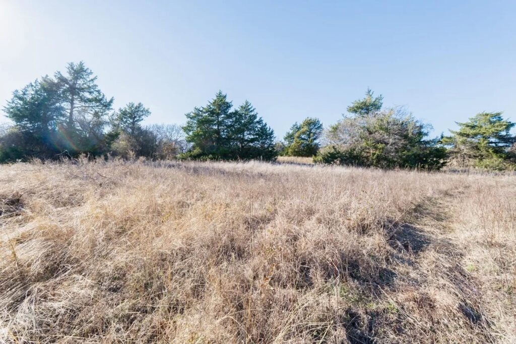 Property photo for land for sale in Wise County Texas