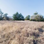 Property photo for land for sale in Wise County Texas