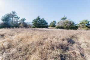 Property photo for land for sale in Wise County Texas
