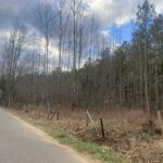 Property photo for land for sale in McNairy County Tennessee