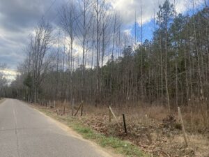 Property photo for land for sale in McNairy County Tennessee