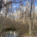 Property photo for land for sale in McNairy County Tennessee