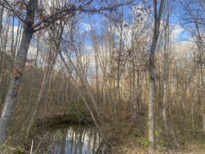Property photo for land for sale in McNairy County Tennessee