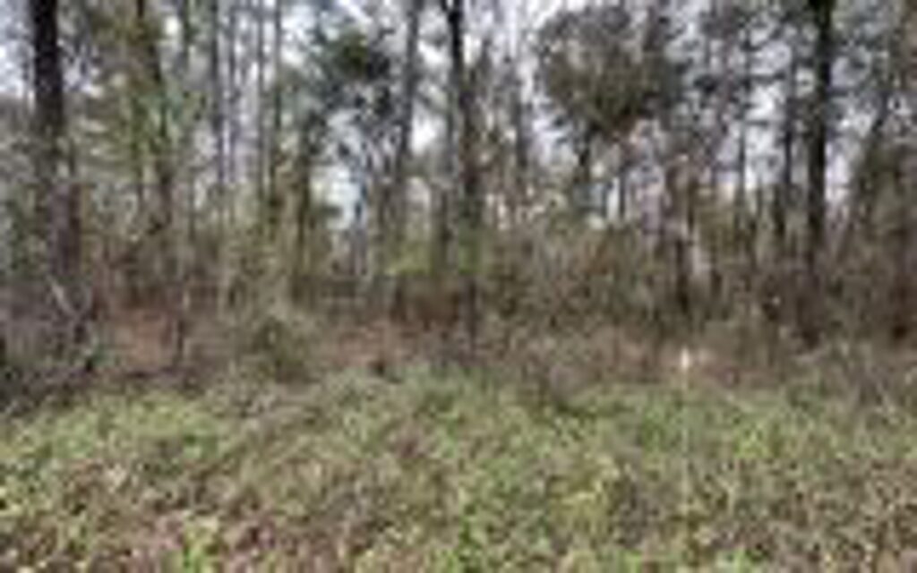 Property photo for land for sale in Suwannee County Florida