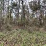 Property photo for land for sale in Suwannee County Florida