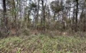 Property photo for land for sale in Suwannee County Florida