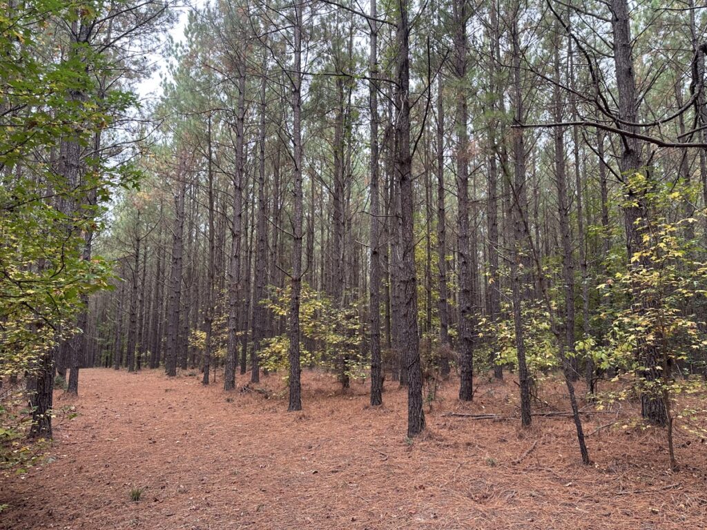 Property photo for land for sale in Dallas County Arkansas