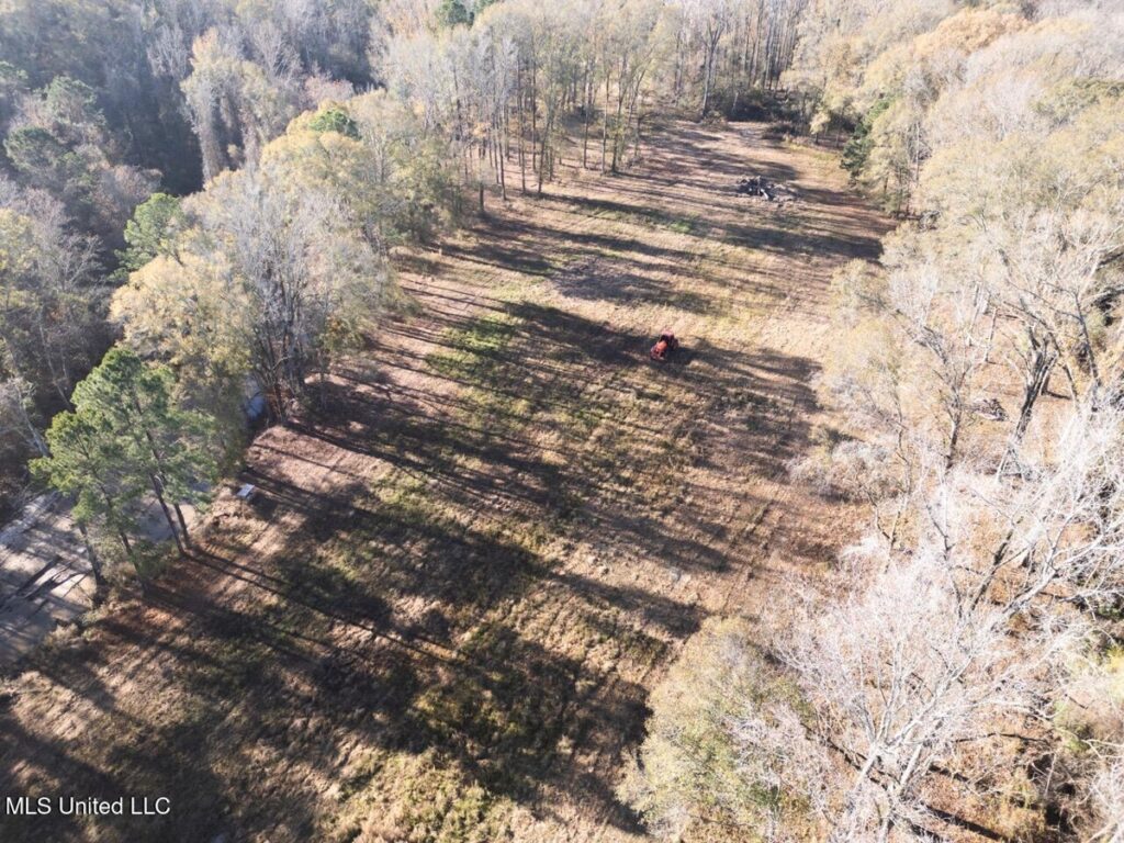 Property photo for land for sale in Wilkinson County Mississippi