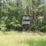 Property photo for land for sale in Lincoln County Mississippi