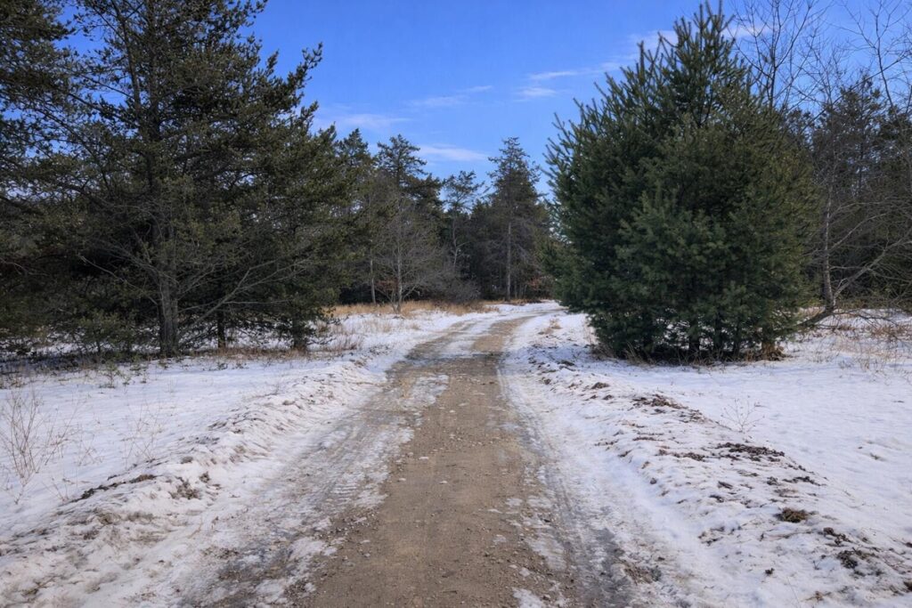 Property photo for land for sale in Montmorency County Michigan