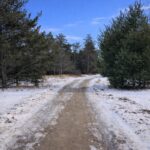 Property photo for land for sale in Montmorency County Michigan