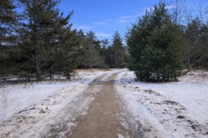 Property photo for land for sale in Montmorency County Michigan