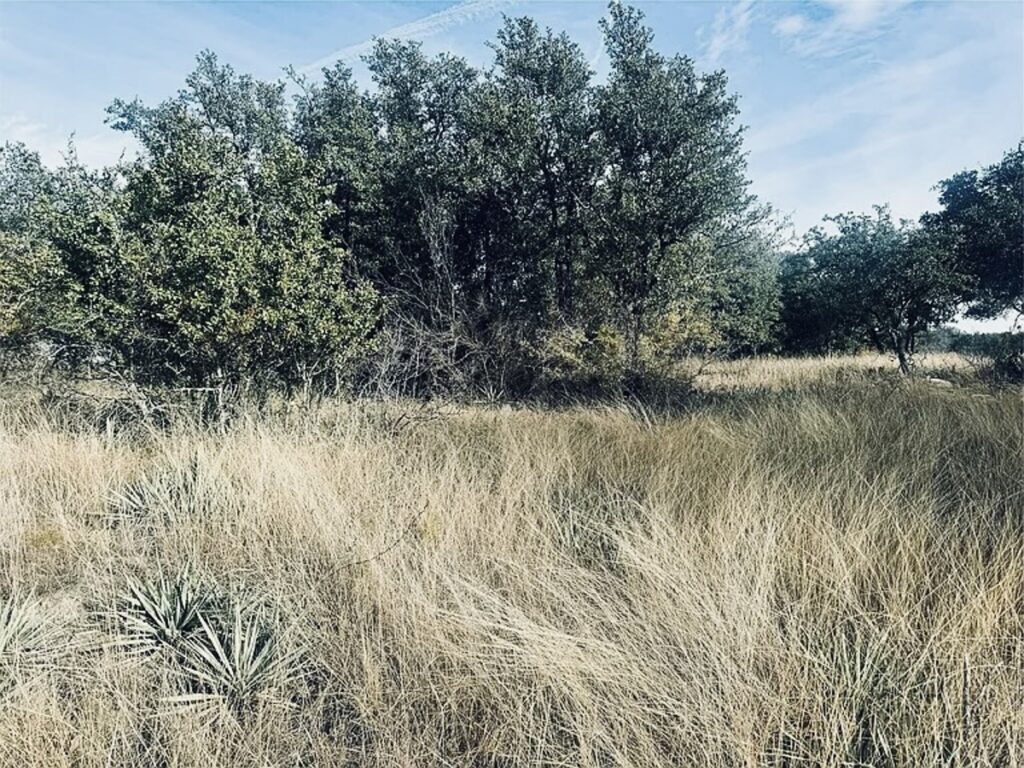 Property photo for land for sale in Brown County Texas