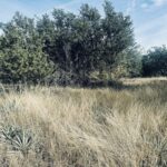 Property photo for land for sale in Brown County Texas