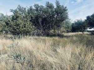 Property photo for land for sale in Brown County Texas