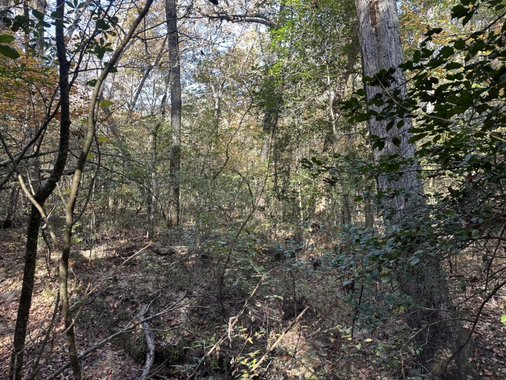 Property photo for land for sale in Saline County Arkansas