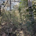 Property photo for land for sale in Saline County Arkansas