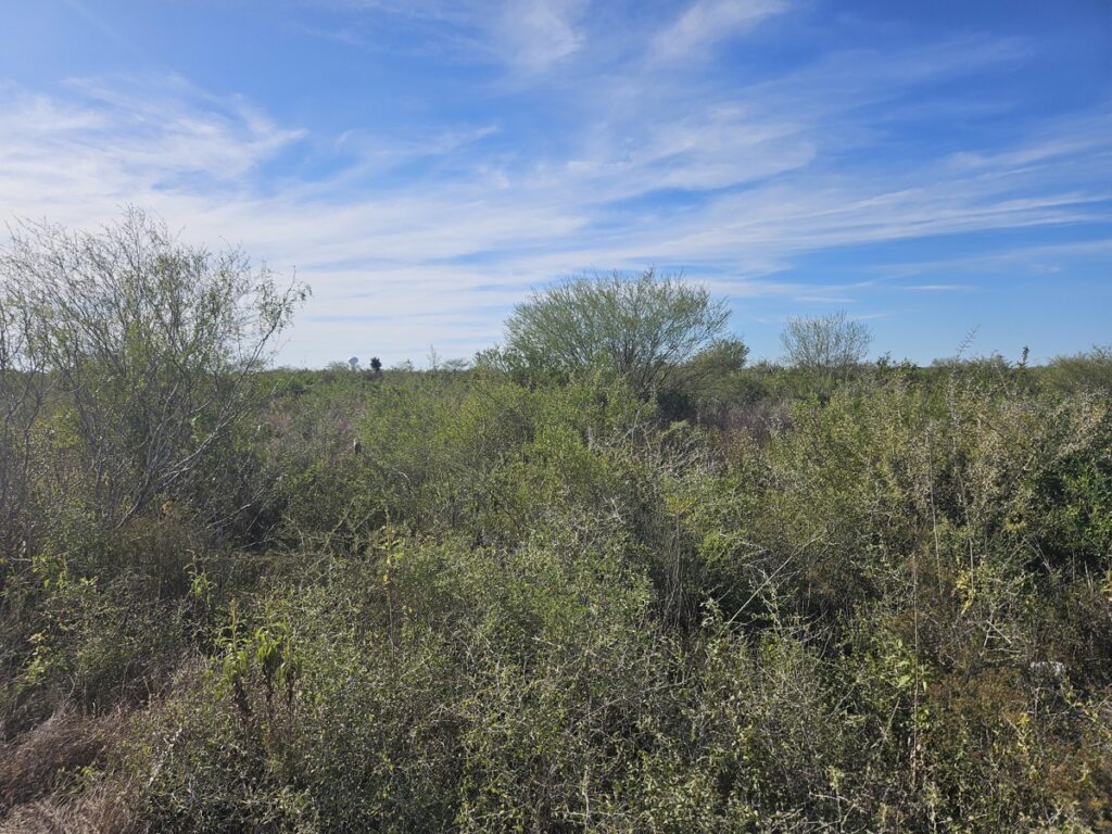 Property photo for land for sale in Jim Wells County Texas