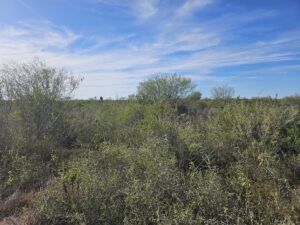 Property photo for land for sale in Jim Wells County Texas
