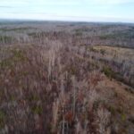 Property photo for land for sale in  County Virginia