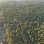 Property photo for land for sale in Nevada County Arkansas