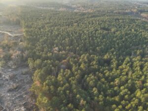 Property photo for land for sale in Nevada County Arkansas