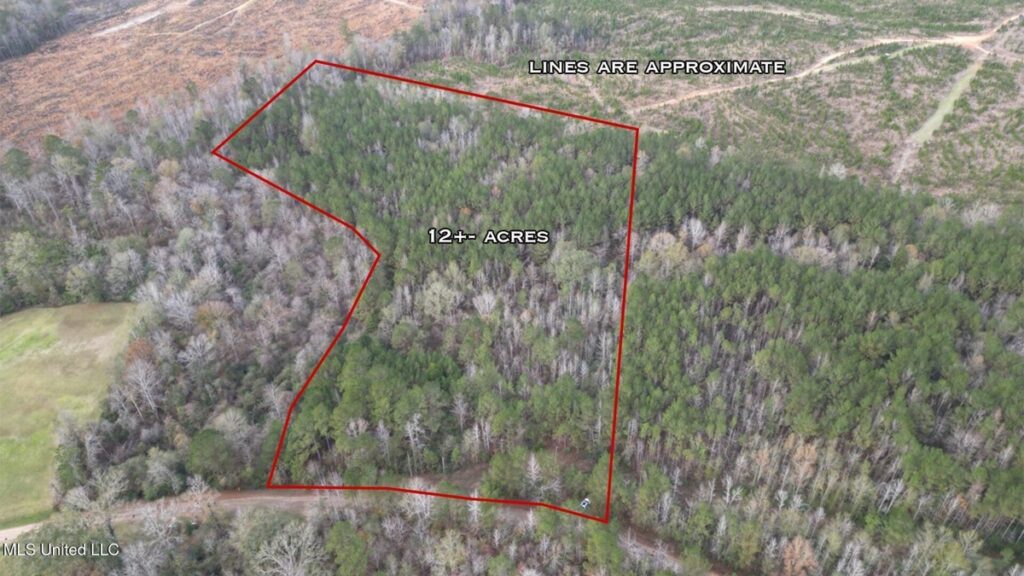 Property photo for land for sale in Lincoln County Mississippi