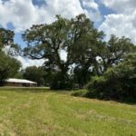 Property photo for land for sale in Lafayette County Louisiana