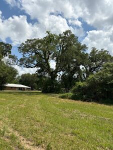 Property photo for land for sale in Lafayette County Louisiana