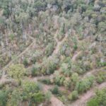 Property photo for land for sale in Cass County Texas