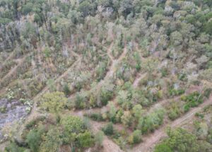 Property photo for land for sale in Cass County Texas