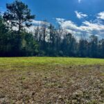 Property photo for land for sale in Lincoln County Mississippi