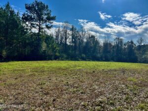 Property photo for land for sale in Lincoln County Mississippi