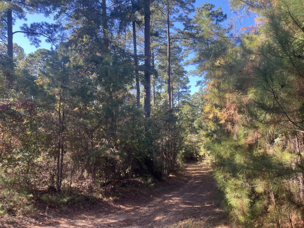Property photo for land for sale in Union County Arkansas