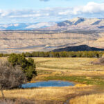 Property photo for land for sale in Mesa County Colorado