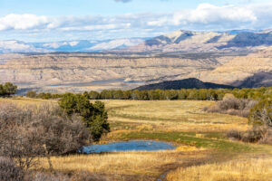 Property photo for land for sale in Mesa County Colorado