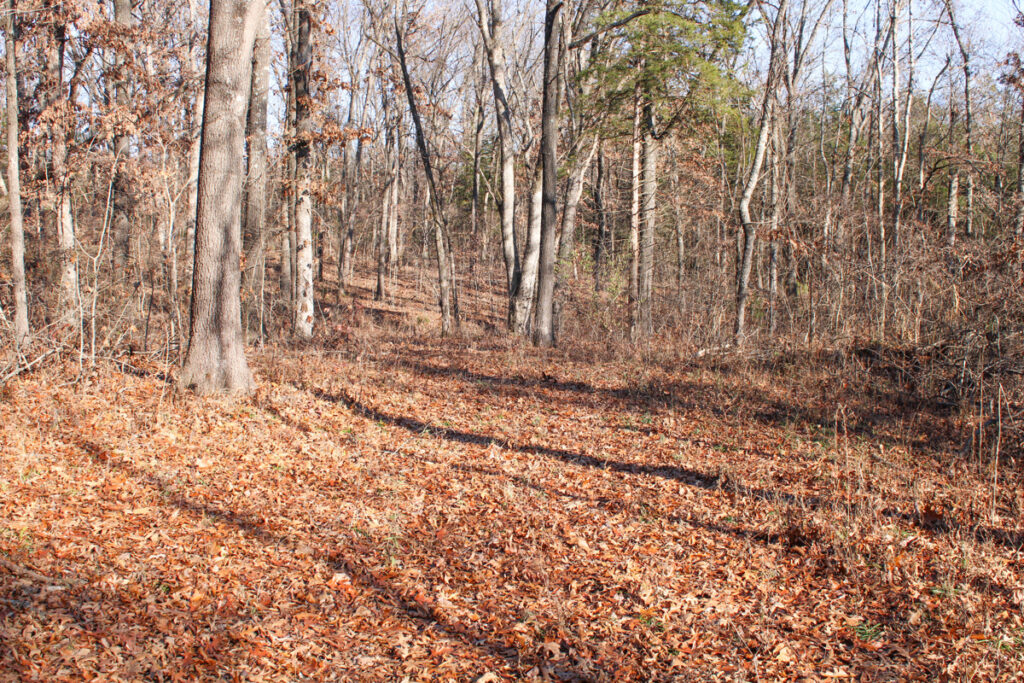 Property photo for land for sale in St. Clair County Missouri