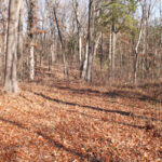 Property photo for land for sale in St. Clair County Missouri