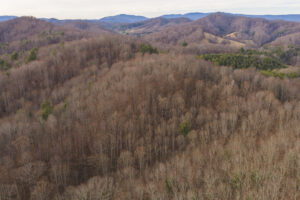 Property photo for land for sale in Ashe County North Carolina