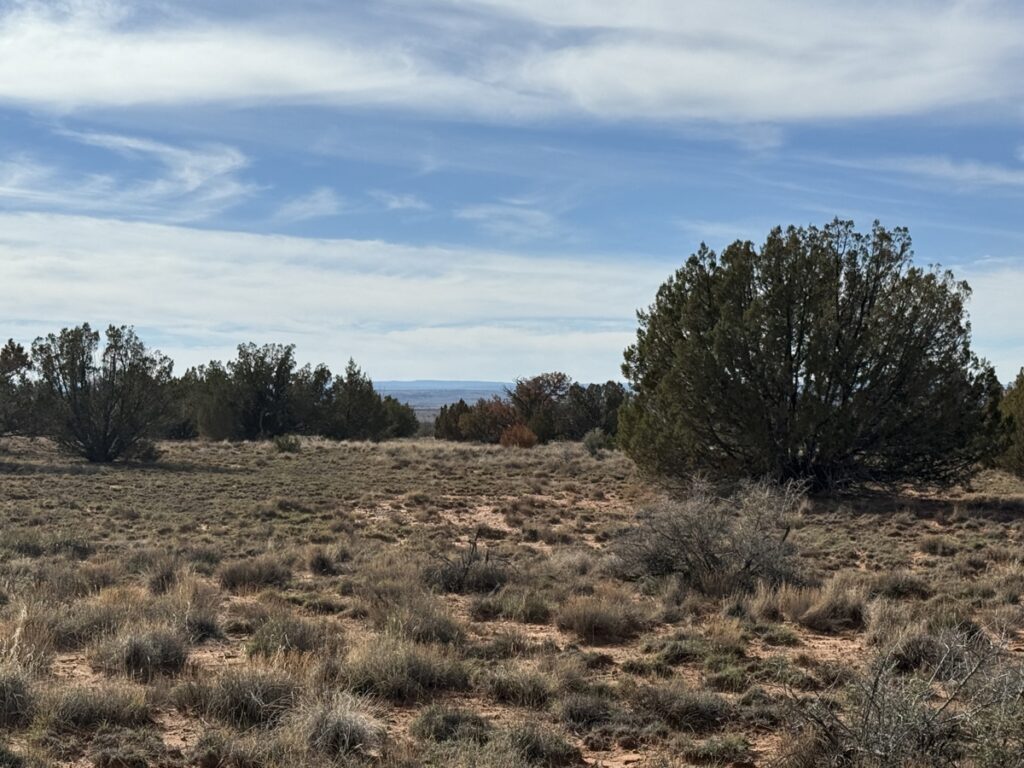 Property photo for land for sale in Navajo County Arizona