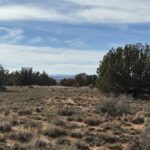Property photo for land for sale in Navajo County Arizona