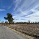 Property photo for land for sale in Lamar County Texas