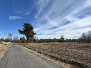 Property photo for land for sale in Lamar County Texas