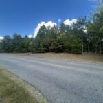 Property photo for land for sale in Dallas County Alabama