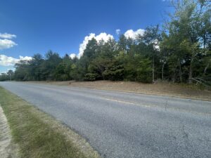 Property photo for land for sale in Dallas County Alabama