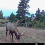 Property photo for land for sale in Yellowstone County Montana